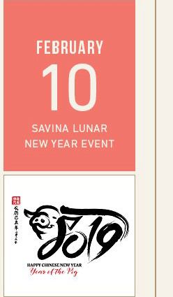 Savina Bosa Downtown San Diego: Lunar New Year Celebration February 10th Noon-2pm.